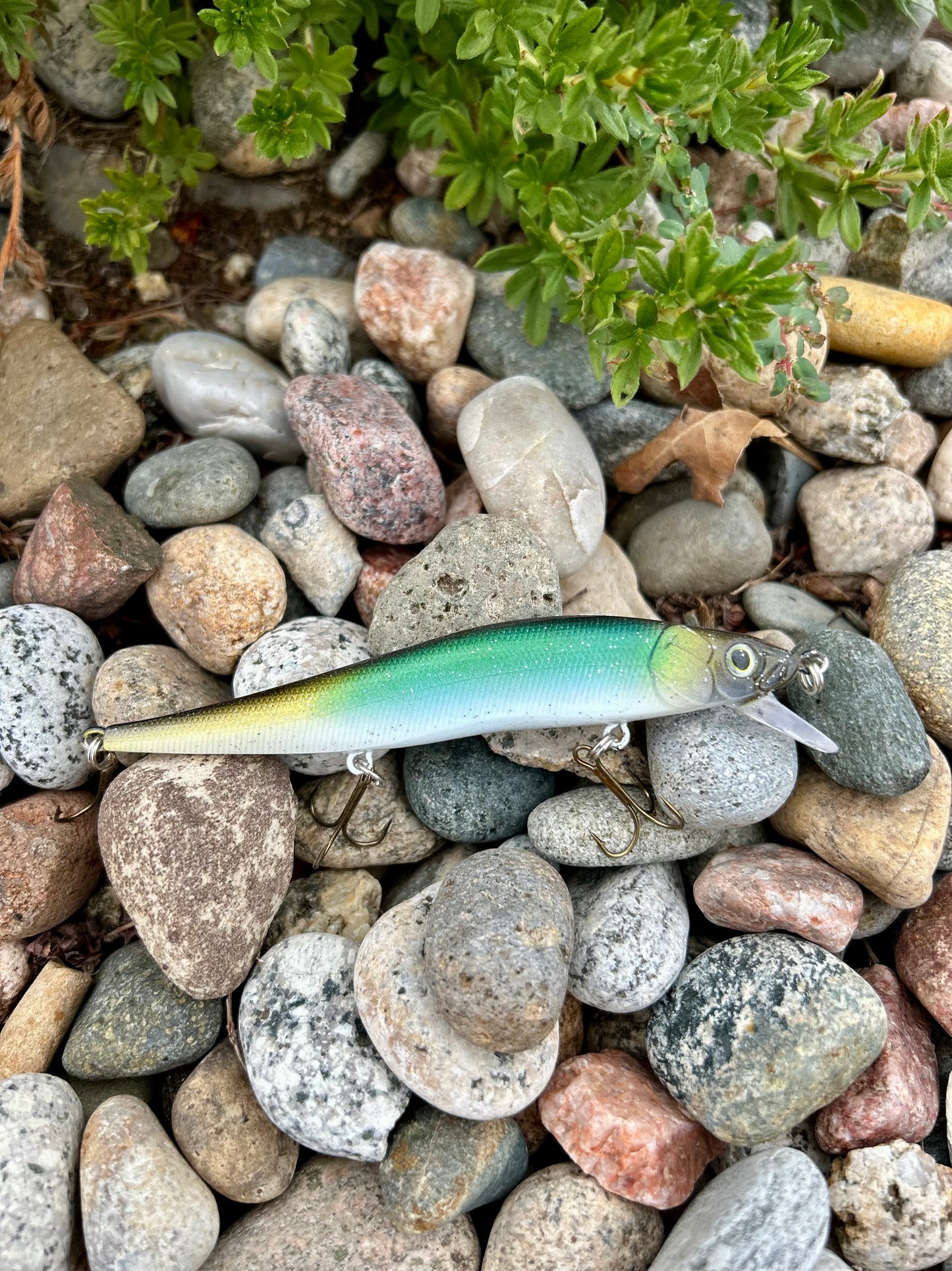 Pro Teal Shallow Diving Jerkbait