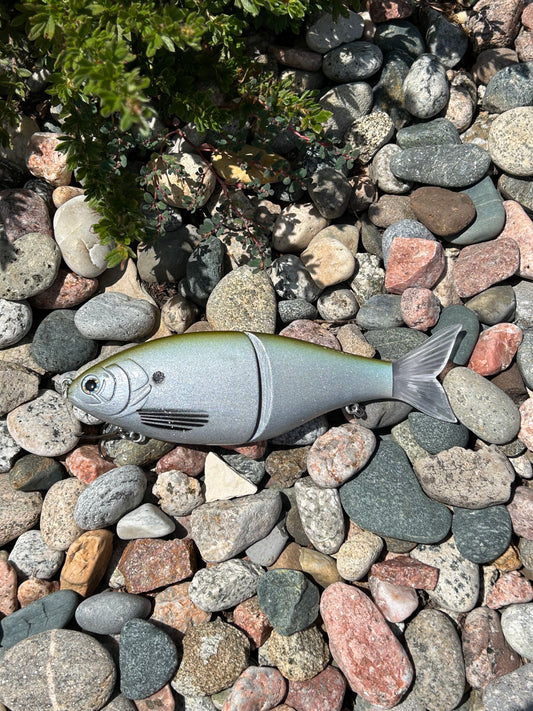 Shad Glidebait